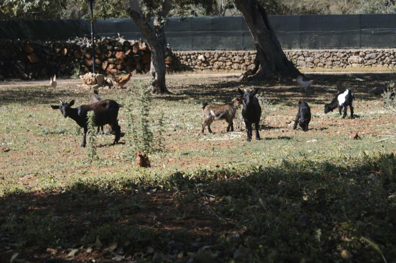 Tenuta Ferraro Gallipoli Zewnętrze zdjęcie
