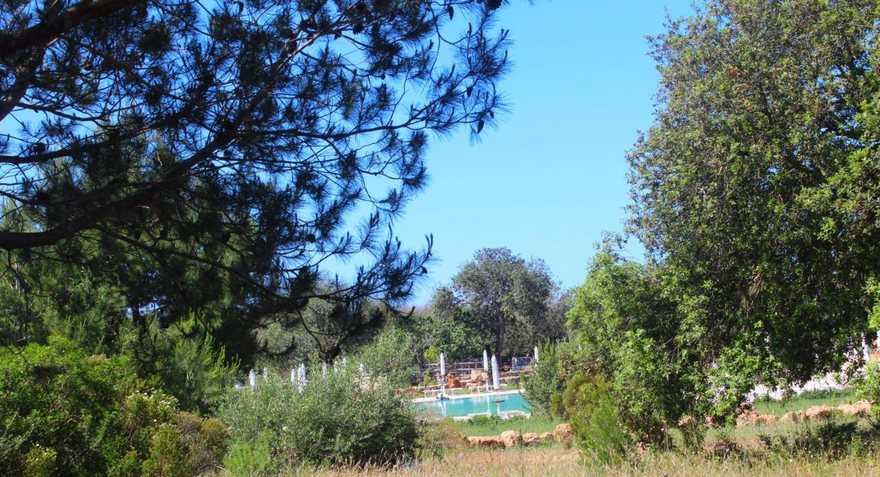 Tenuta Ferraro Gallipoli Zewnętrze zdjęcie