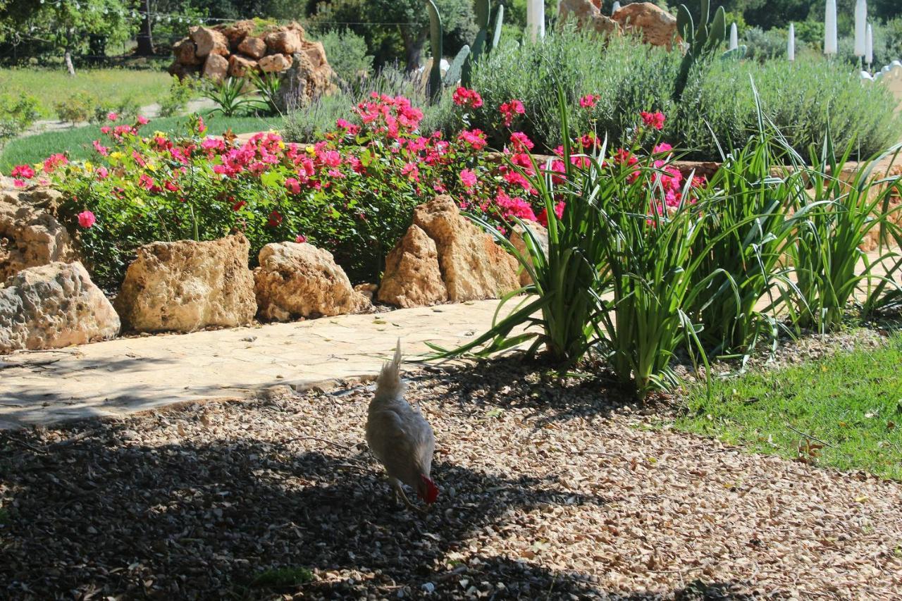Tenuta Ferraro Gallipoli Zewnętrze zdjęcie