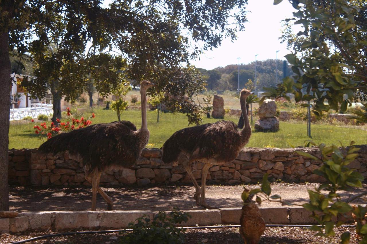 Tenuta Ferraro Gallipoli Zewnętrze zdjęcie