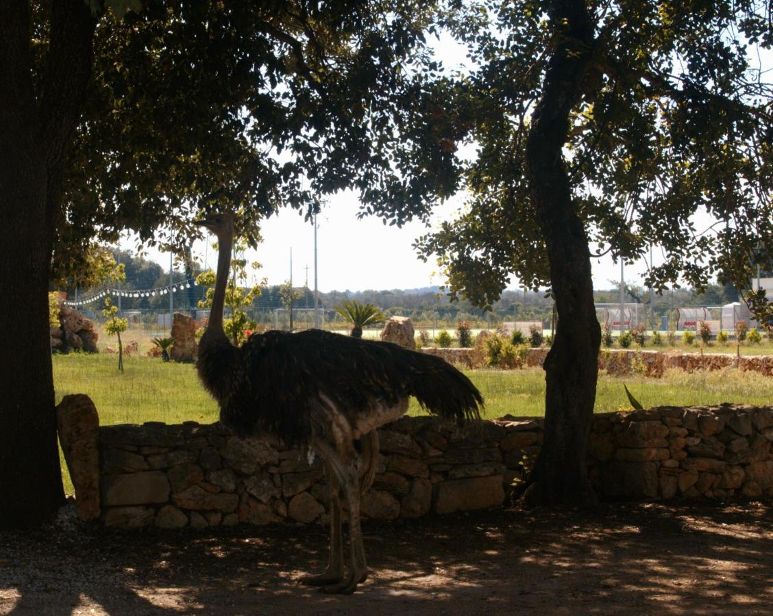 Tenuta Ferraro Gallipoli Zewnętrze zdjęcie