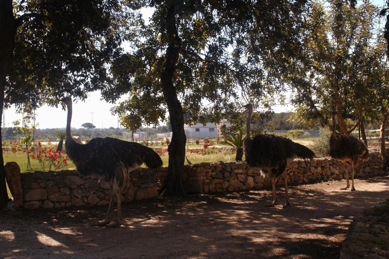 Tenuta Ferraro Gallipoli Zewnętrze zdjęcie