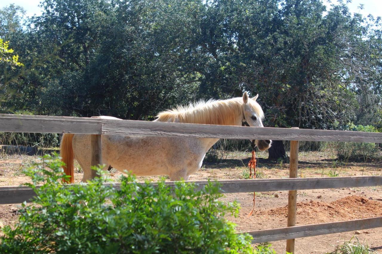 Tenuta Ferraro Gallipoli Zewnętrze zdjęcie