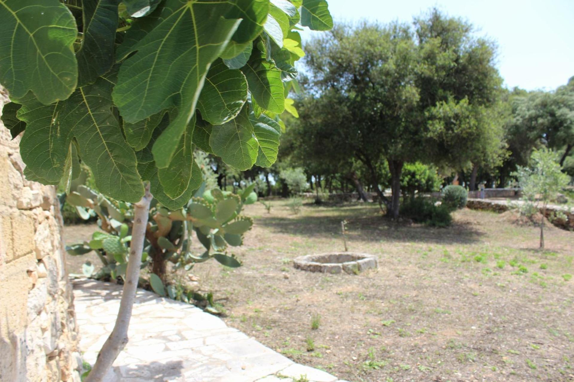 Tenuta Ferraro Gallipoli Zewnętrze zdjęcie