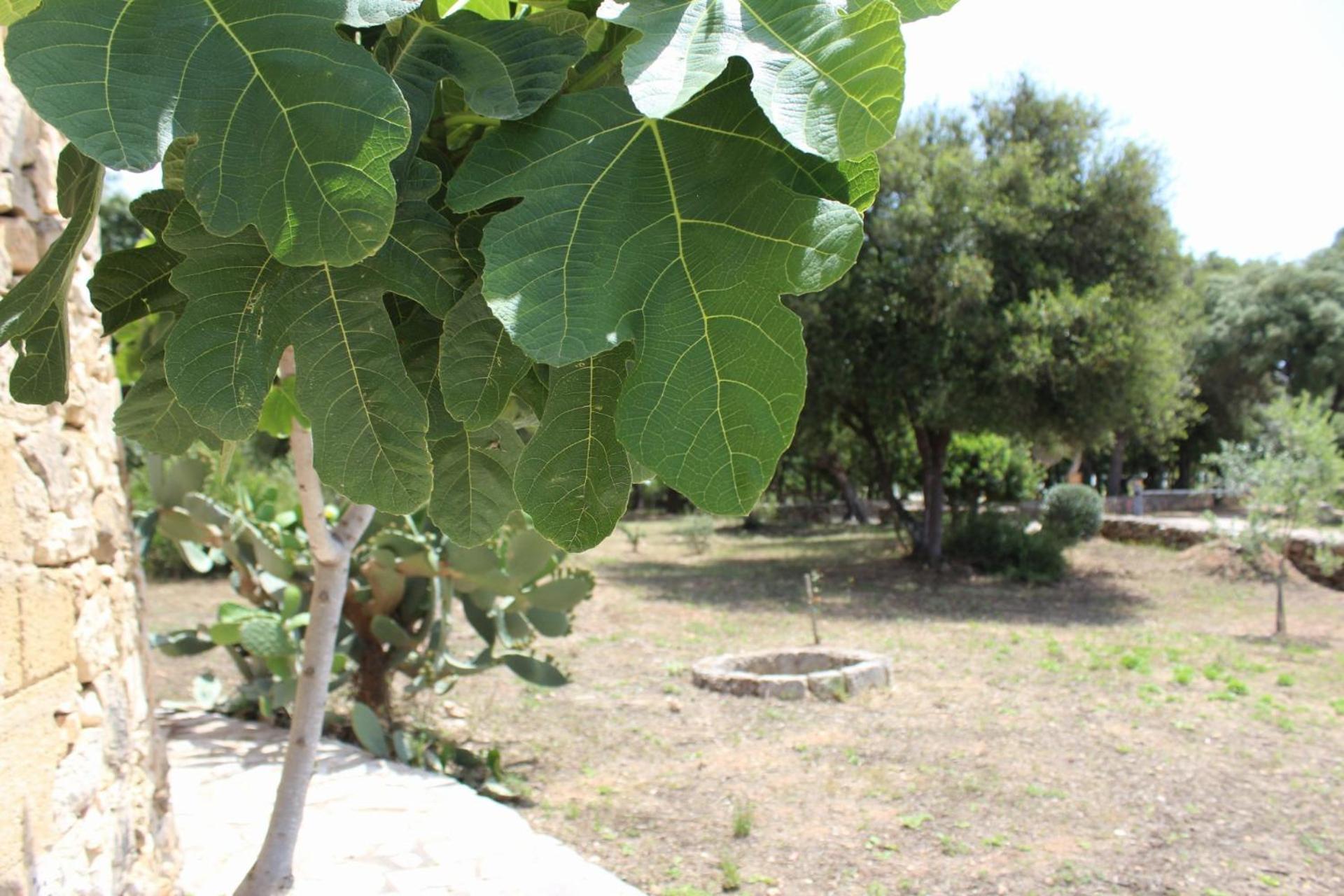 Tenuta Ferraro Gallipoli Zewnętrze zdjęcie