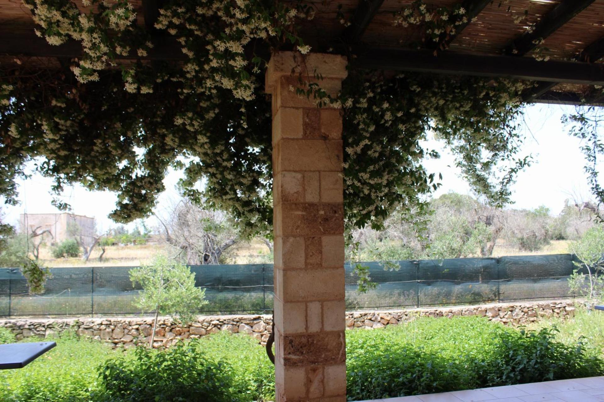 Tenuta Ferraro Gallipoli Zewnętrze zdjęcie