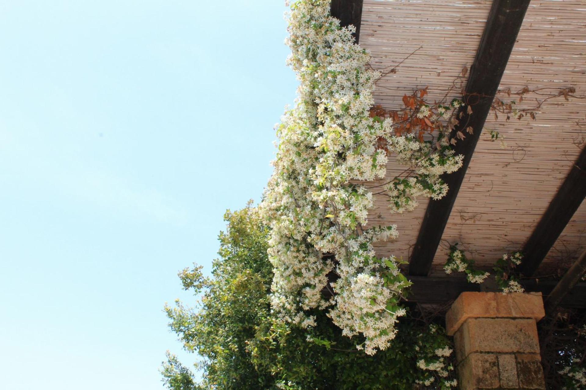 Tenuta Ferraro Gallipoli Zewnętrze zdjęcie