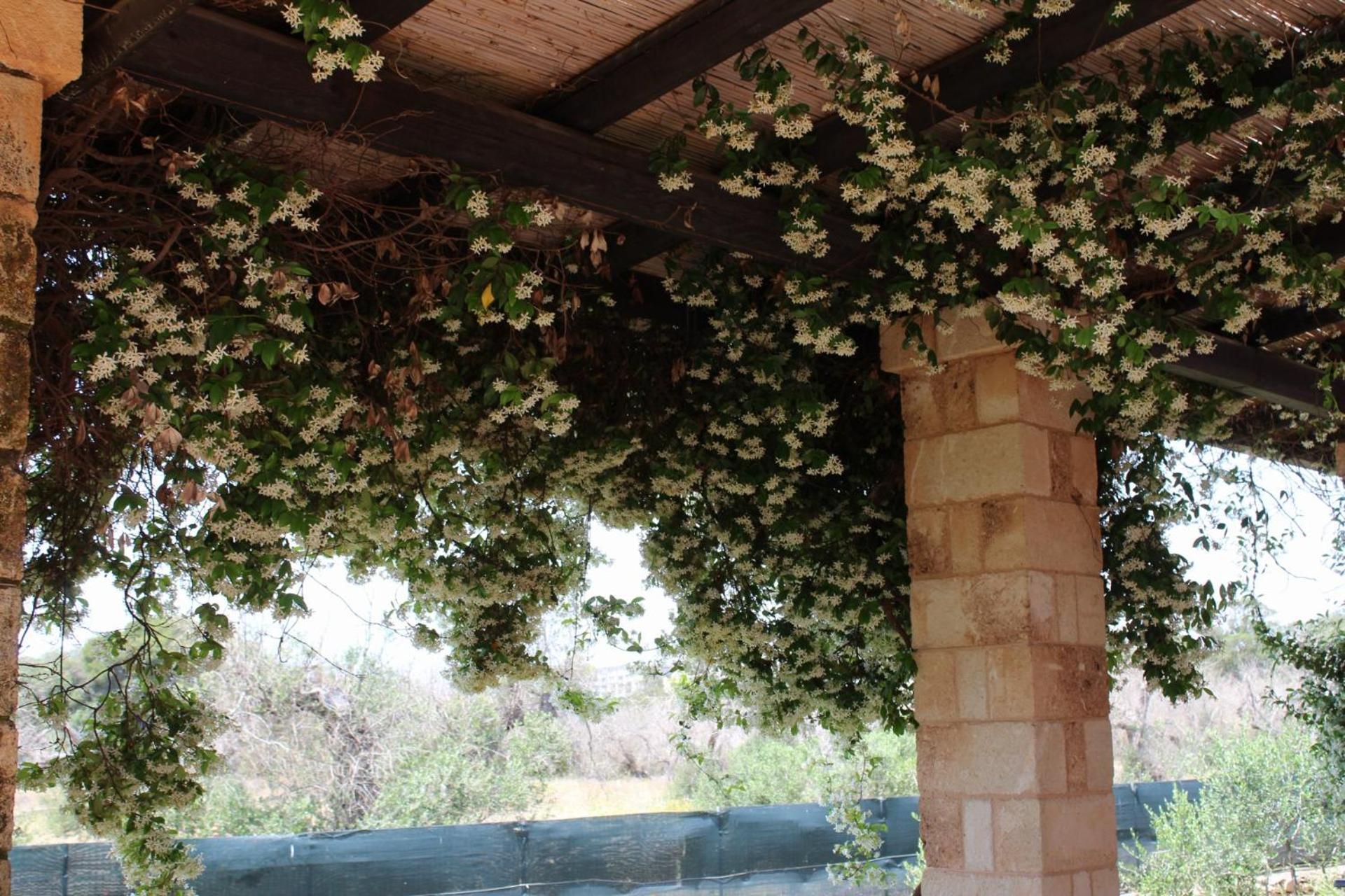 Tenuta Ferraro Gallipoli Zewnętrze zdjęcie